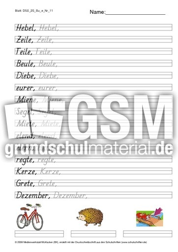 DSS_2S_Bu_e_Nr_11.pdf